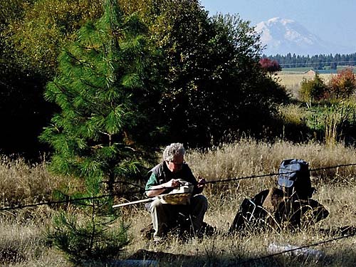 Rod Crawford sorts a tree beat sample, Blockhouse Creek, central Klickitat County, Washington