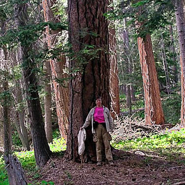 Laurel Ramseyer and ponderosa pine trunk at Cougar Flat Campground, Yakima County, Washington
