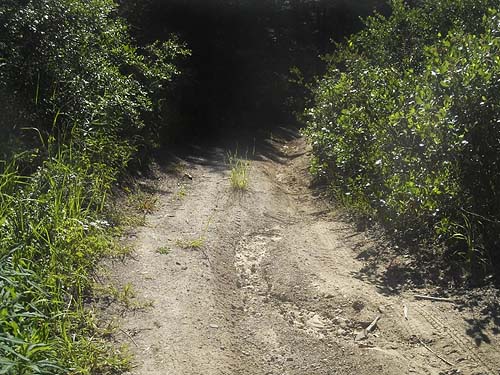bad, rough road to trailhead of County Line Trail, Kittitas/Chelan County, Washington