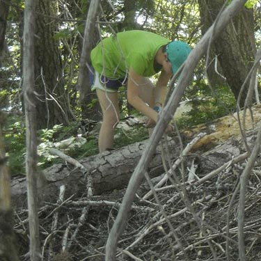 Maia Kreis collecting spiders from dead wood, near trailhead of County Line Trail, Kittitas/Chelan County, Washington