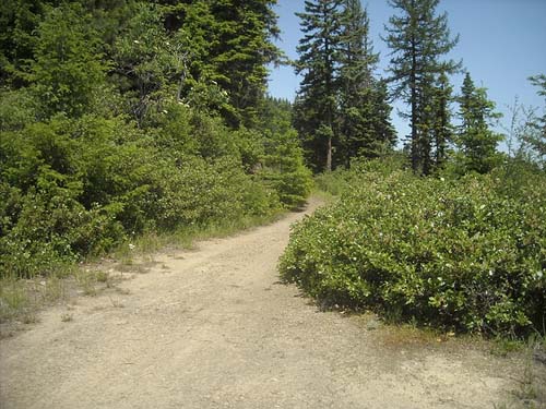 road becoming a trail, near trailhead of County Line Trail, Kittitas/Chelan County, Washington