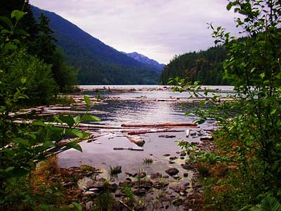 mouth of Boulder Creek, Lake Mills, Clallam County, Washington