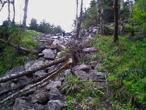 rocky ravine along trail to Fairfax town site, Pierce County, Washington