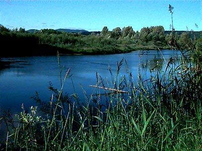 Chehalis River west of Oakville, Grays Harbor County, Washington