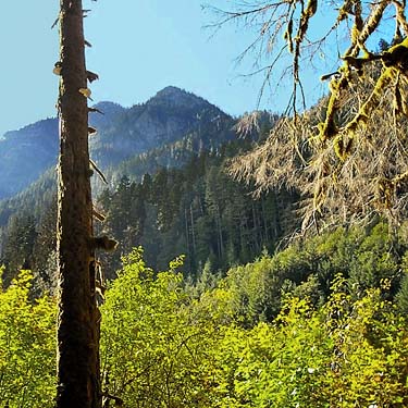 Jumbo Mountain from Frog Lake, Snohomish County, Washington