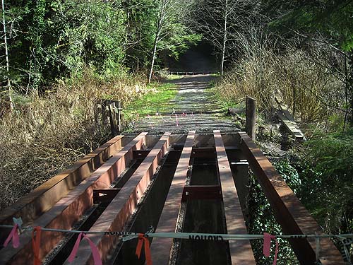 bridge out across Harvey Creek, Pilchick Tree Farm, Snohomish County, Washington