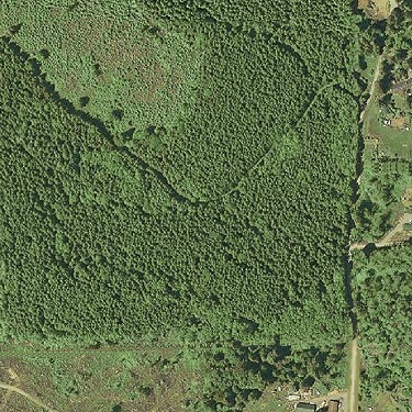 2009 aerial view of Haywire Ridge spider collecting site, Snohomish County, Washington