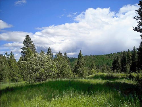 clouds over mountain meadow, Horse Lake Mountain, Chelan County, Washington