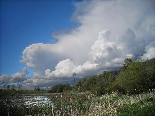 raincloud at Mud Lake, Clear Lake (town), Skagit County, Washington