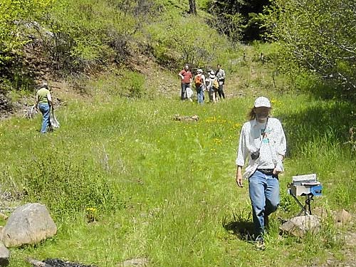 Scarabs field trip at Reecer Creek Road first hairpin turn, Kittitas County, Washington
