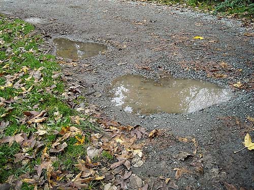 fresh rain puddles in park road,  Rudolf Reese Park, Sultan, Washington