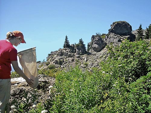 Matisse Lorance at rocky crest, Sauk Mountain, Skagit County, Washington