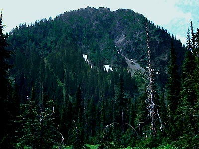 Survey Point, west of Schriebers Meadow, S of Mt.Baker, Washington