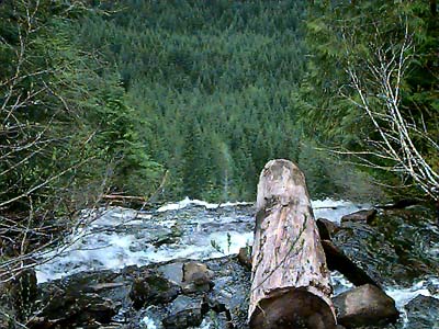 waterfall on Tolmie Creek, Pierce County, Washington
