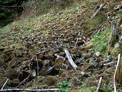 rock talus, Tolmie Creek, Pierce County, Washington