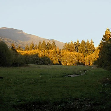 dusk light colors trees near Tulker, Snohomish County, Washington