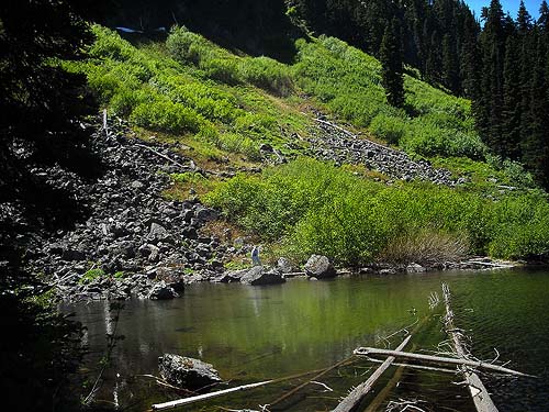 Talus and shrubland at south end of upper lake, Rock Rabbit Lakes, Kittitas County, Washington