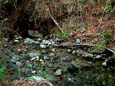 Wanacut Creek, SE of Riverside, Okanogan County, Washington