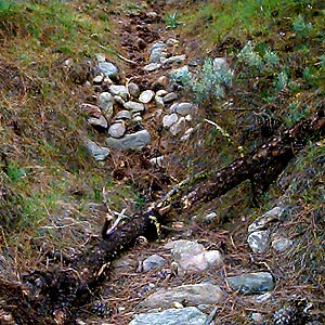 stones in dry wash near Wanacut Creek, SE of Riverside, Okanogan County, Washington