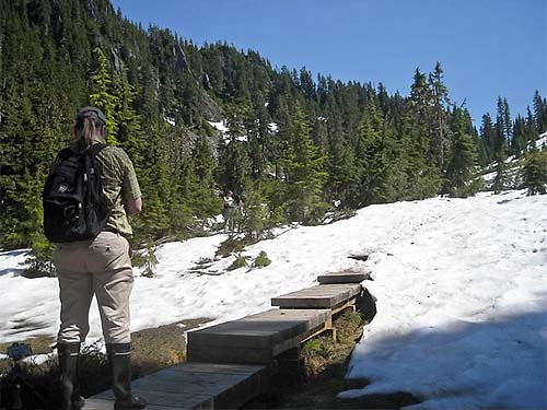 trail boardwalk vanishes under snow, meadow on Watson Lakes trail, Whatcom County, Washington