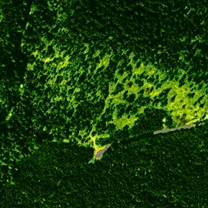 1998 aerial photo of trailhead area, Whitepine Trail, Chelan County, Washington