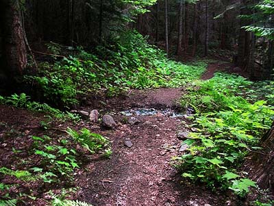 stream corosses Whitepine Trail, Chelan County, Washington