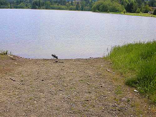 lake shore next to Alder Cemetery, Alder Reservoir, Pierce County, Washington