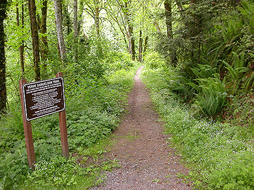 Trailhead for Verne Samuelson Trail, Valley Creek, S edge Port Angeles, Clallam County, Washington
