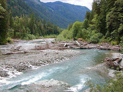 downstream from bridge, Baker River Trail at suspension bridge, Whatcom County, Washington