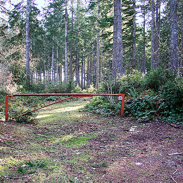 gated road into forest, Ballow Road, Hartstene Island, Washington