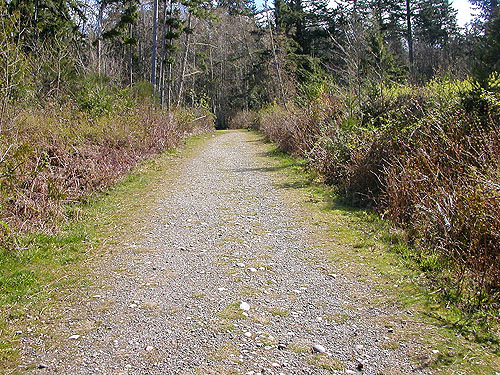 first stretch of trail from Camano Ridge Trailhead, Island County, Washington