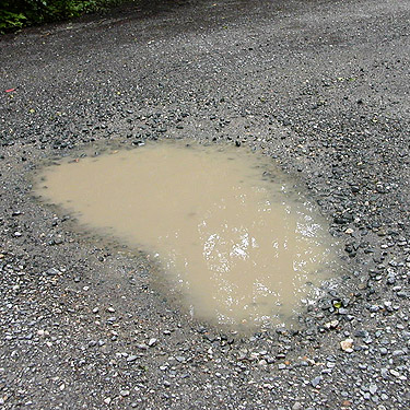 water=filled pothole in road, South Fork Canyon Creek at FS Road 41, Snohomish County, Washington