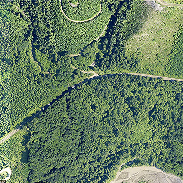 2013 aerial view of Clay Creek spider site, state highway 410, King County, Washington