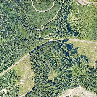2117 aerial photo of Clay Creek spider site, State Highway 410, King County, Washington
