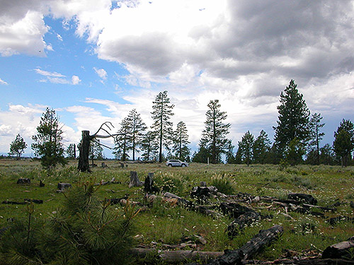 Landscape and sky at spider site S of Colockum Pass, Kittitas County, Washington