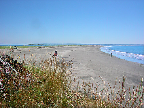 exposed south beach of Damon Point, Grays Harbor County, Washington