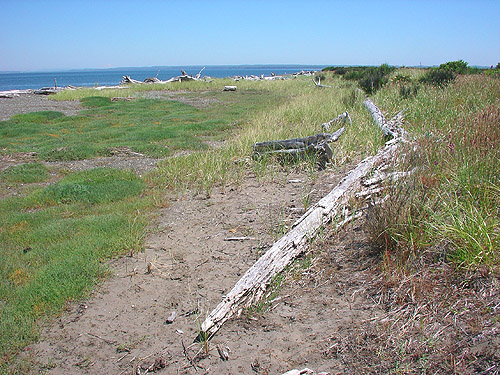 north beach of Damon Point, Grays Harbor County, Washington