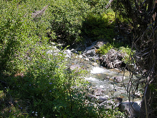 North Fork Teanaway River, NW of De Roux Campground, North Fork Teanaway, Kittitas County, Washington