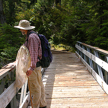 Lake Dorothy trail bridge, Alpine Lakes, King County, Washington