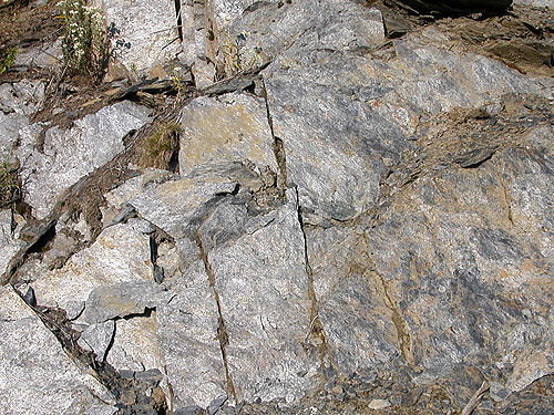 outcrop of Darrington Phyllite, mountain 2 miles east of Gee Point, Skagit County, Washington