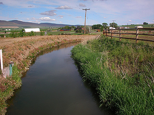 Turbine Ditch irrigation canal at Nicolai Road,  Badger Pocket, Kittitas County, Washington