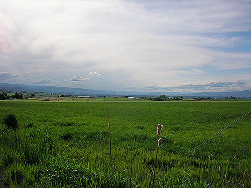 valley viewed from WPA Road,  Badger Pocket, Kittitas County, Washington