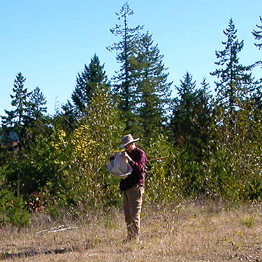 Laurel Ramseyer sorting a sweep sample, north of Egg and I Road, Jefferson County, Washington