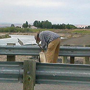 Laurel Ramseyer collecting spiders from West Canal Bridge, east of Flat Lake, Grant County, Washington