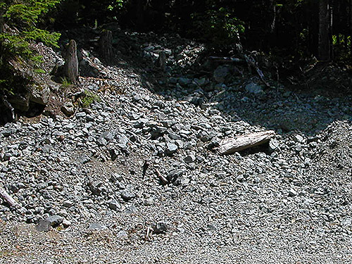 gravel pit near where we parked on the way to spider collecting site on upper Middle Fork Snoqualmie River, King County, Washington