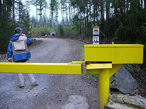 Laurel Ramseyer ready to hike gated road, Tin Mine Creek area, Green Mountain State Forest, Kitsap County, Washington