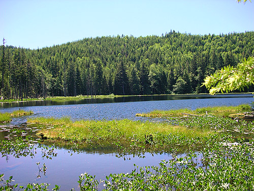 beautiful Little Eagle Lake, Green River Watershed, King County, Washington