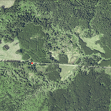 Lepisto Road-North Fork Lincoln Creek area, Lewis County, Washington, 2019 aerial photo