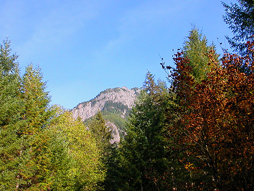 Mount Garfield from Middle Fork Campground, Taylor River, King County, Washington