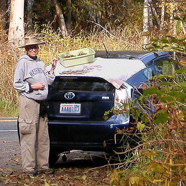 Laurel Ramseyer sifting moss on car, Nooksack River 1 mile E of Maple Falls, Whatcom County, Washington